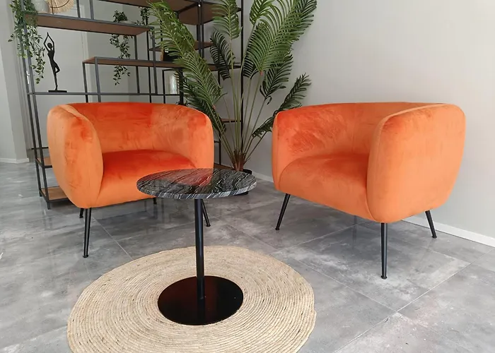 Modern In * 람스동크세비어